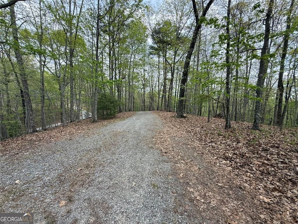 175 Antler Way Morganton GA 30560
