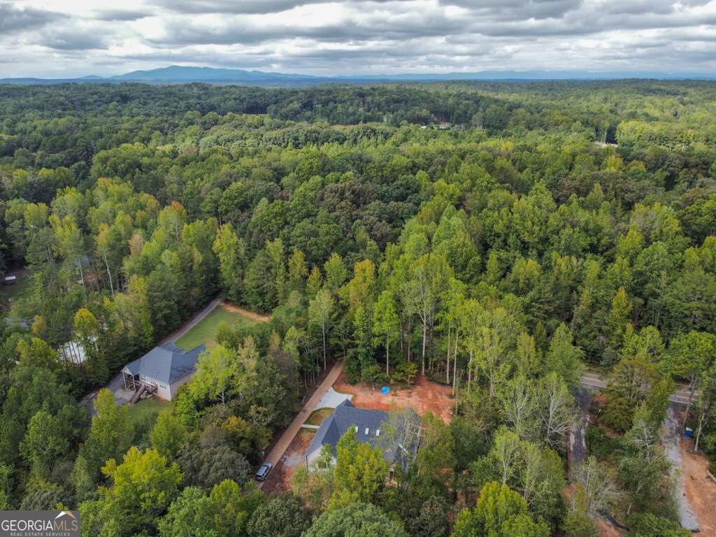 7405 Nicholson Road Cumming GA 30028
