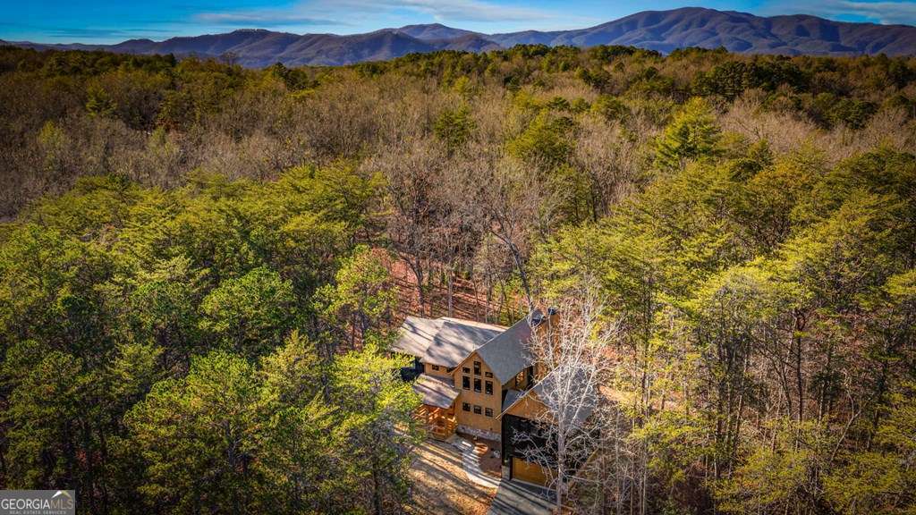 45 Shermans Court Mccaysville GA 30555