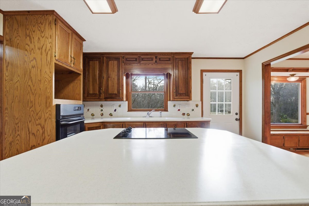 229 Meadows Road Newborn GA 30056