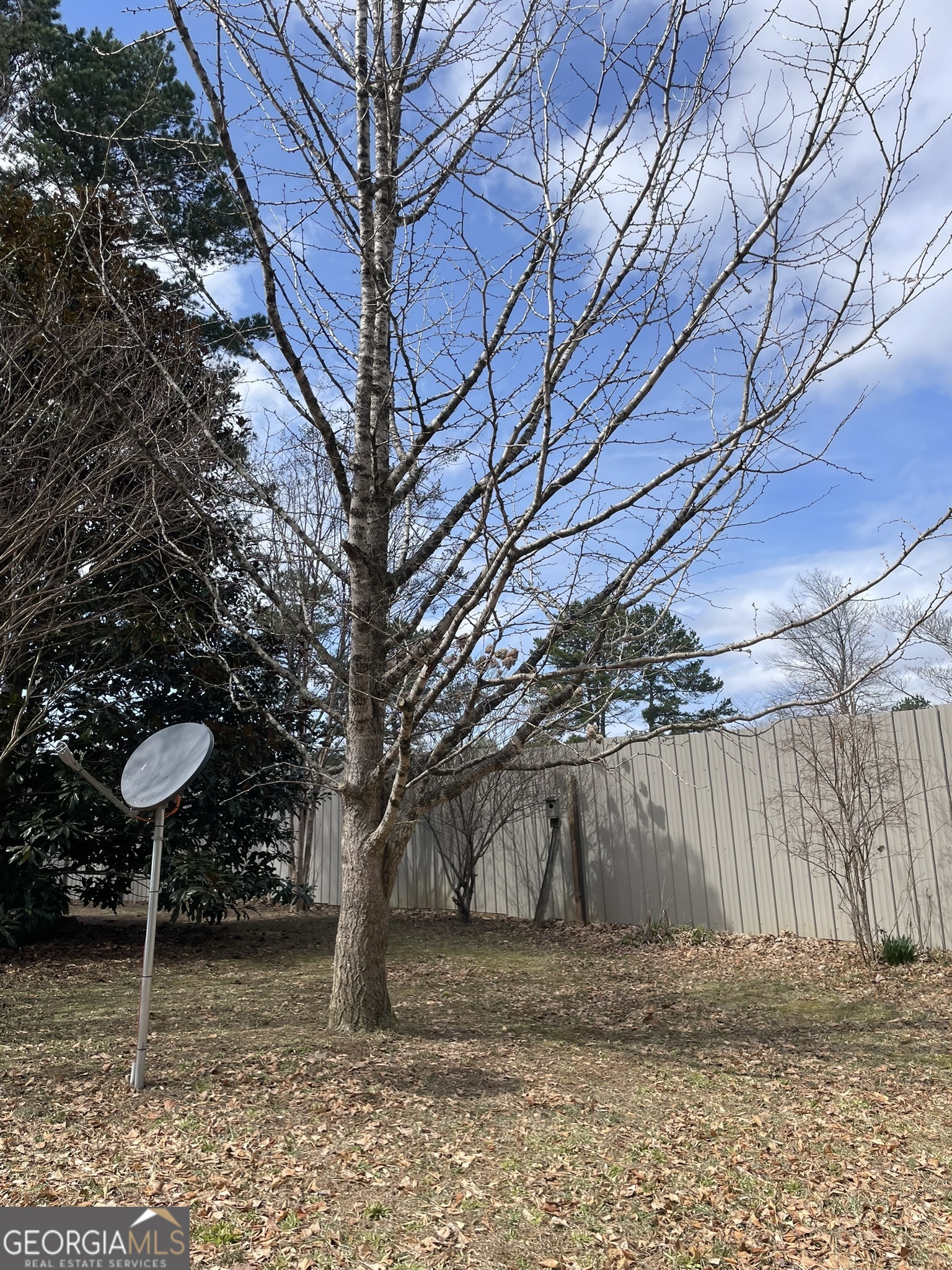 175 Loblolly Lane Blairsville GA 30512