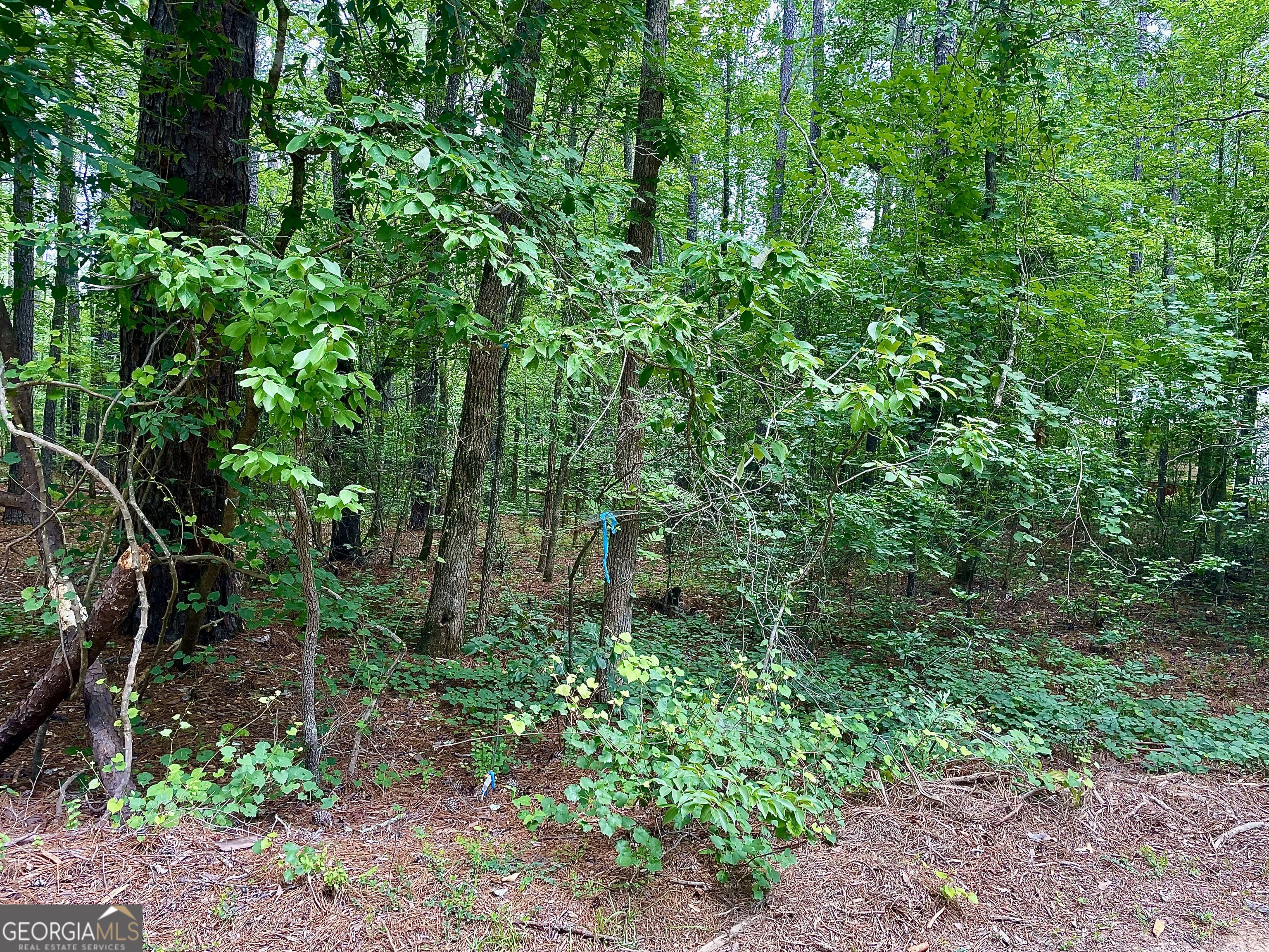 1190 Shore Drive Tignall GA 30668