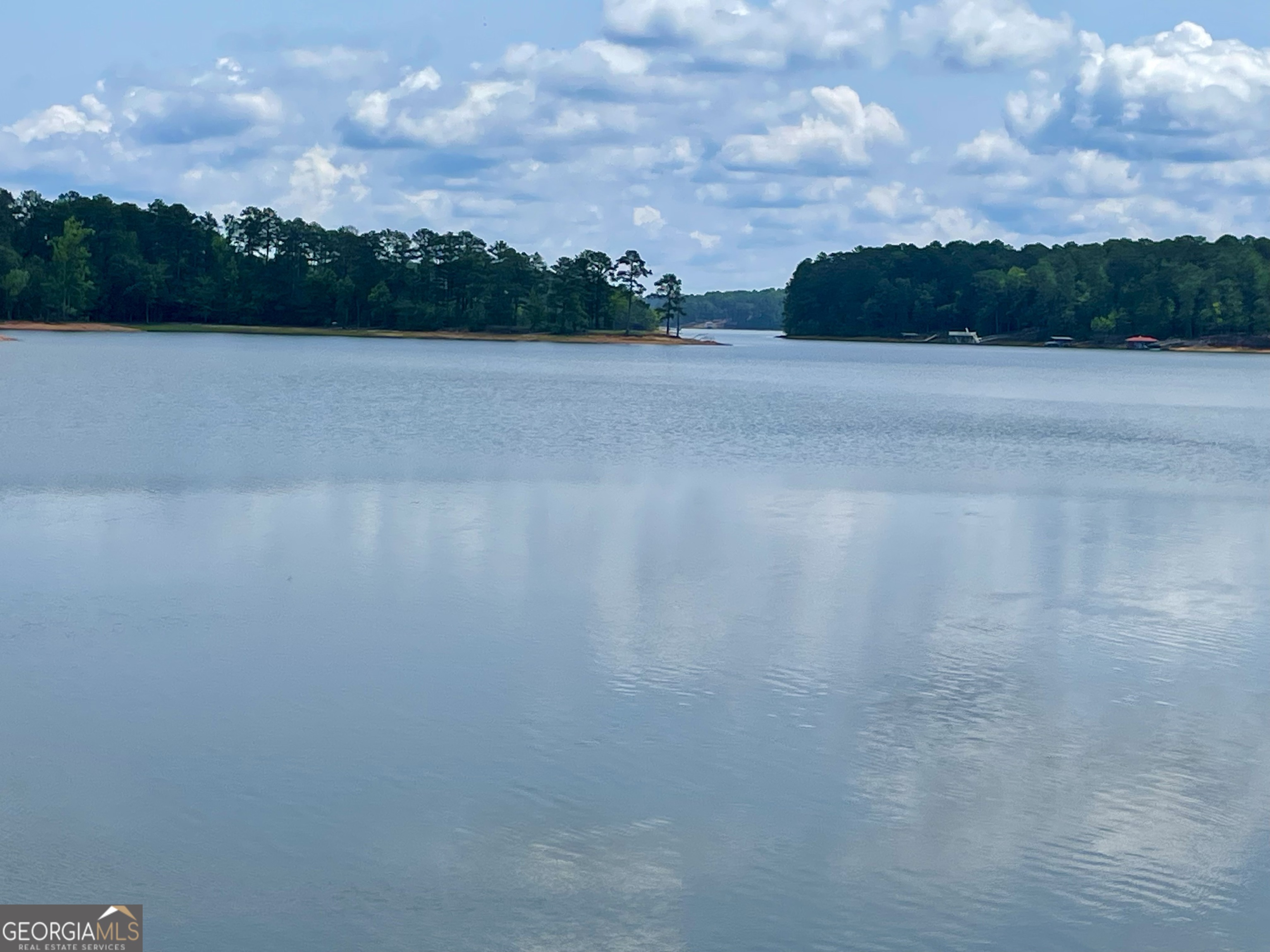 1190 Shore Drive Tignall GA 30668