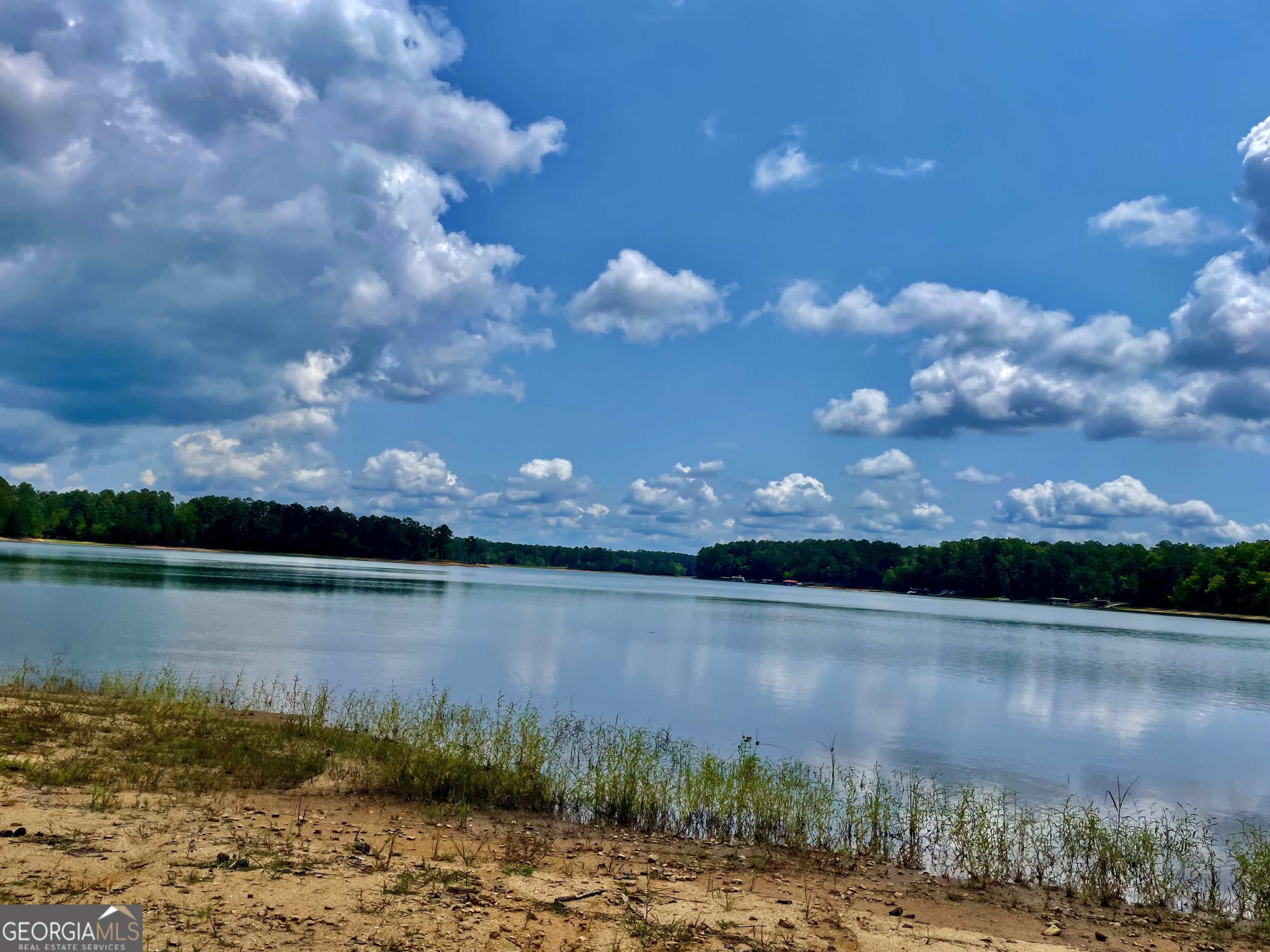 1190 Shore Drive Tignall GA 30668