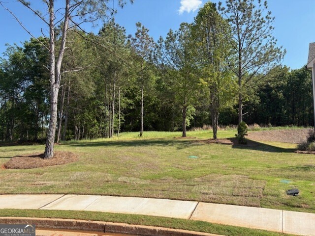 1041 Reagan Drive Madison GA 30650