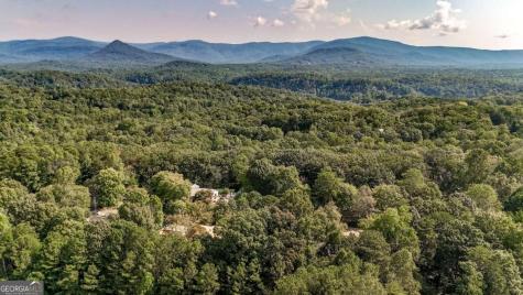 41 Green Forest Parkway Jasper GA 30143