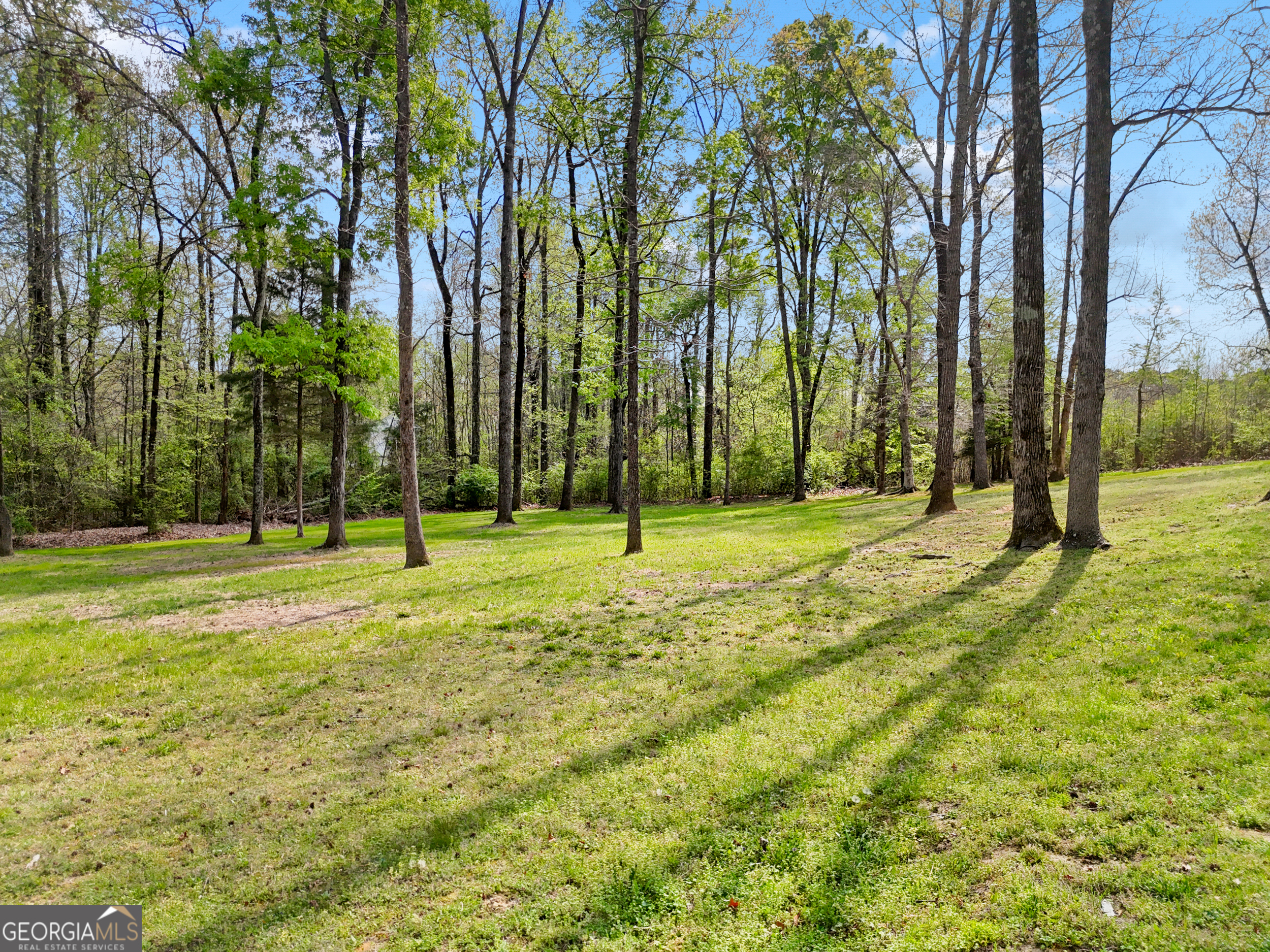 59 Wildwood Drive Chatsworth GA 30705