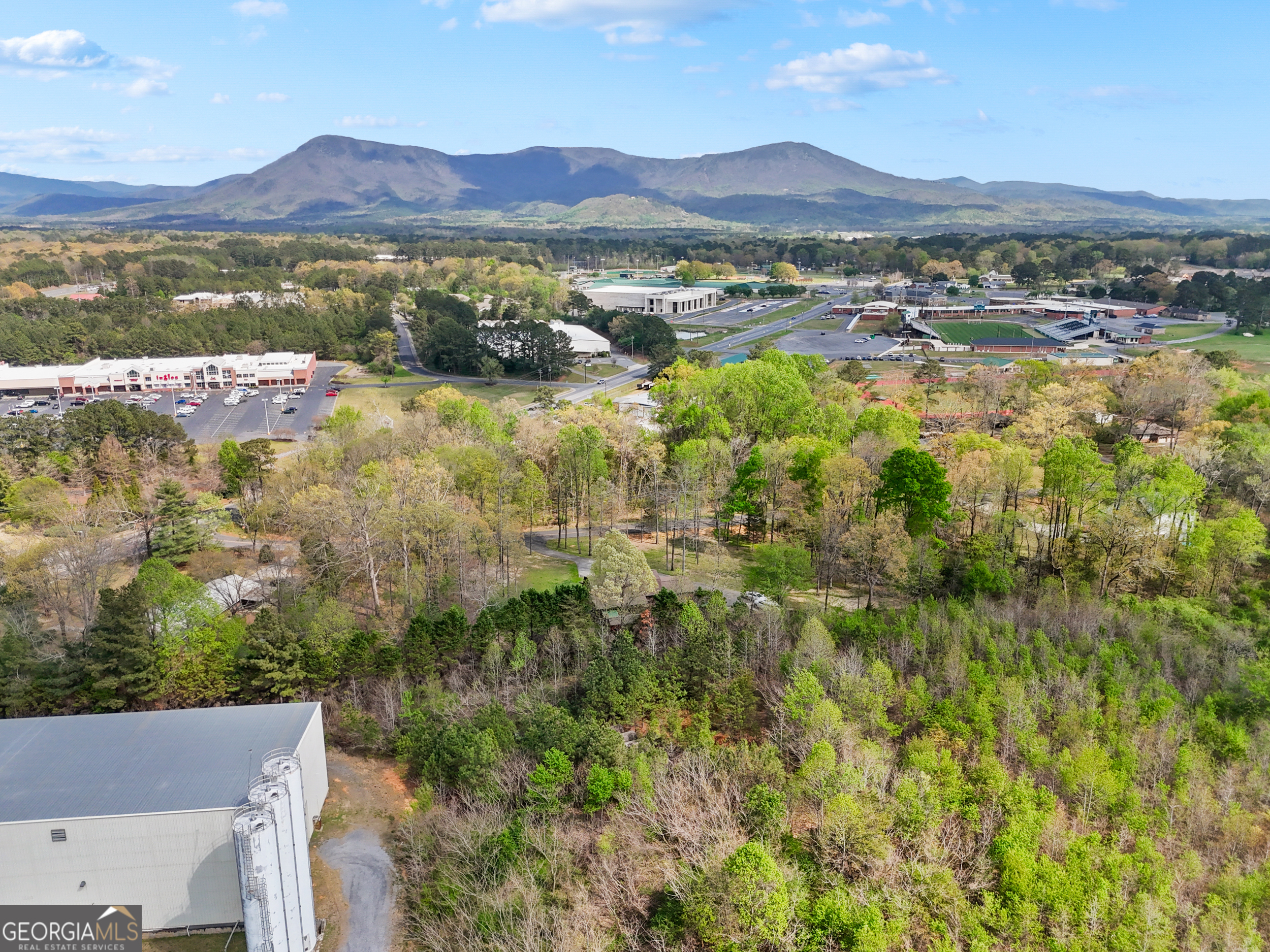59 Wildwood Drive Chatsworth GA 30705