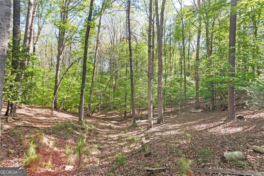 1466 Newport Drive Ellijay GA 30540
