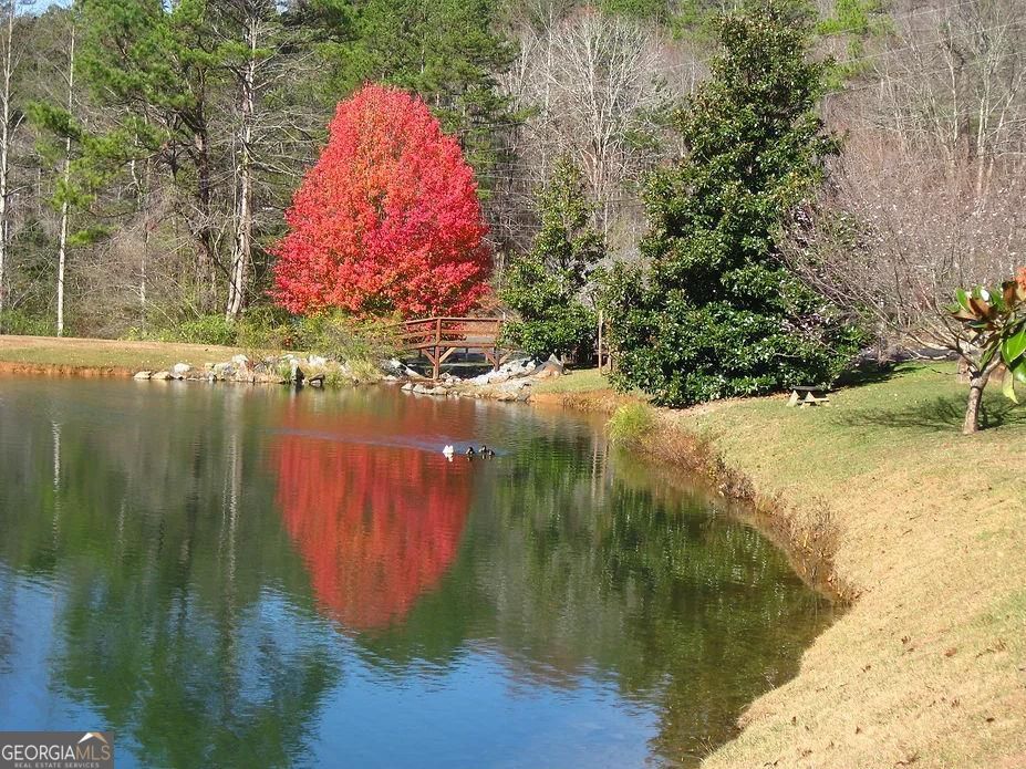 1466 Newport Drive Ellijay GA 30540