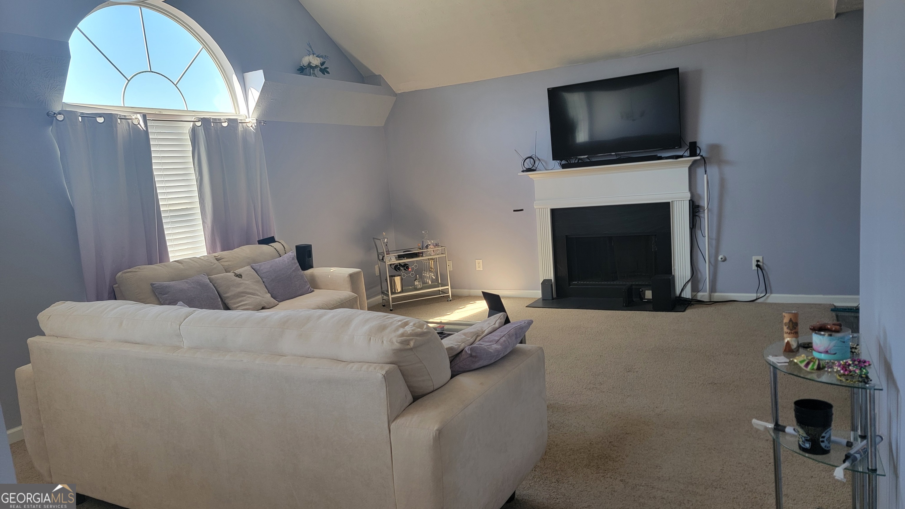 1620 Amelia Court Hampton GA 30228