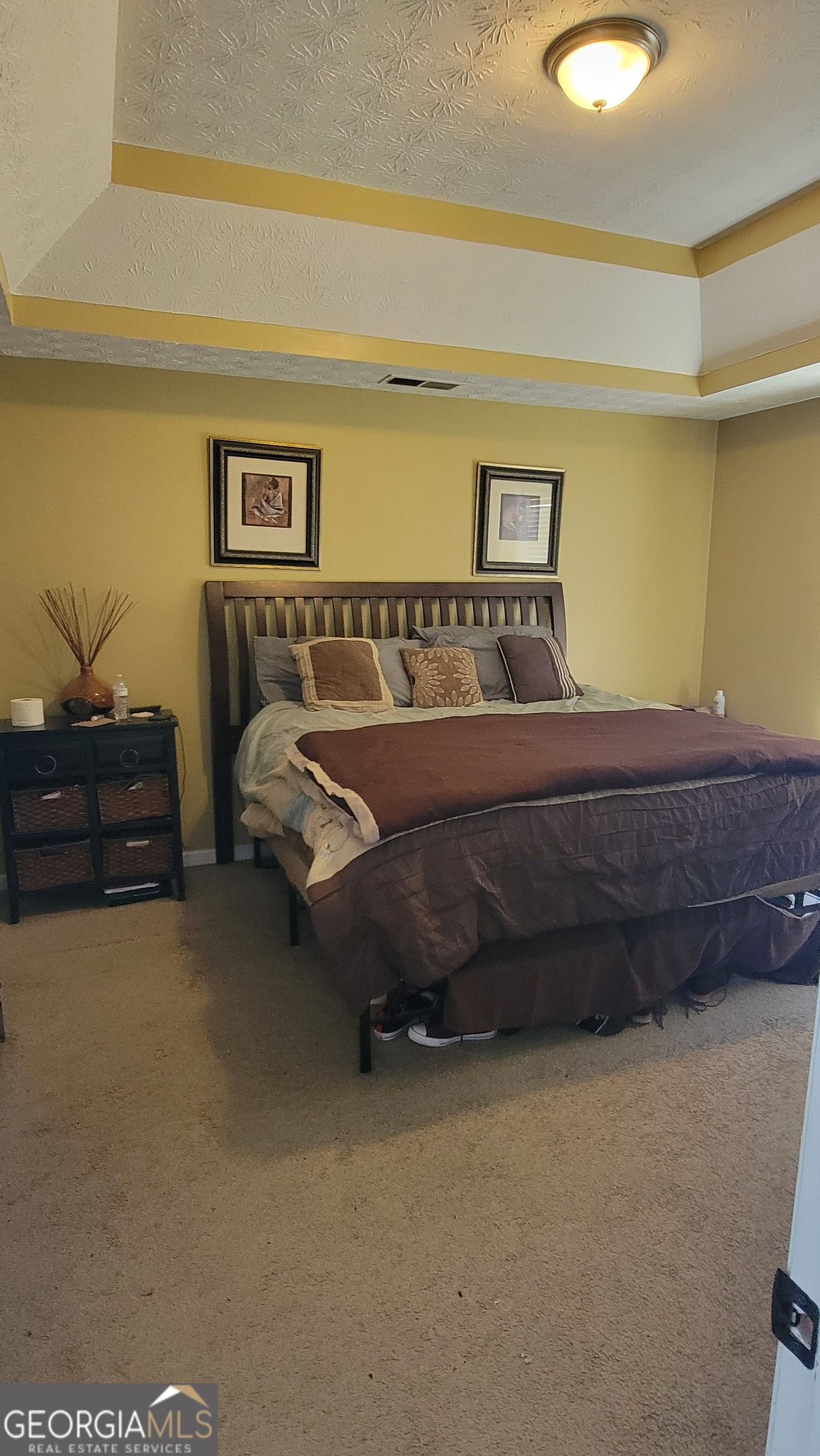 1620 Amelia Court Hampton GA 30228