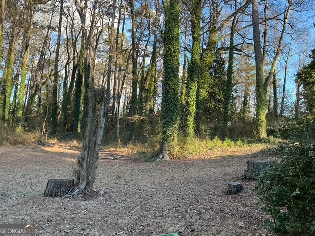 2366 Country Club Drive SW Atlanta GA 30311