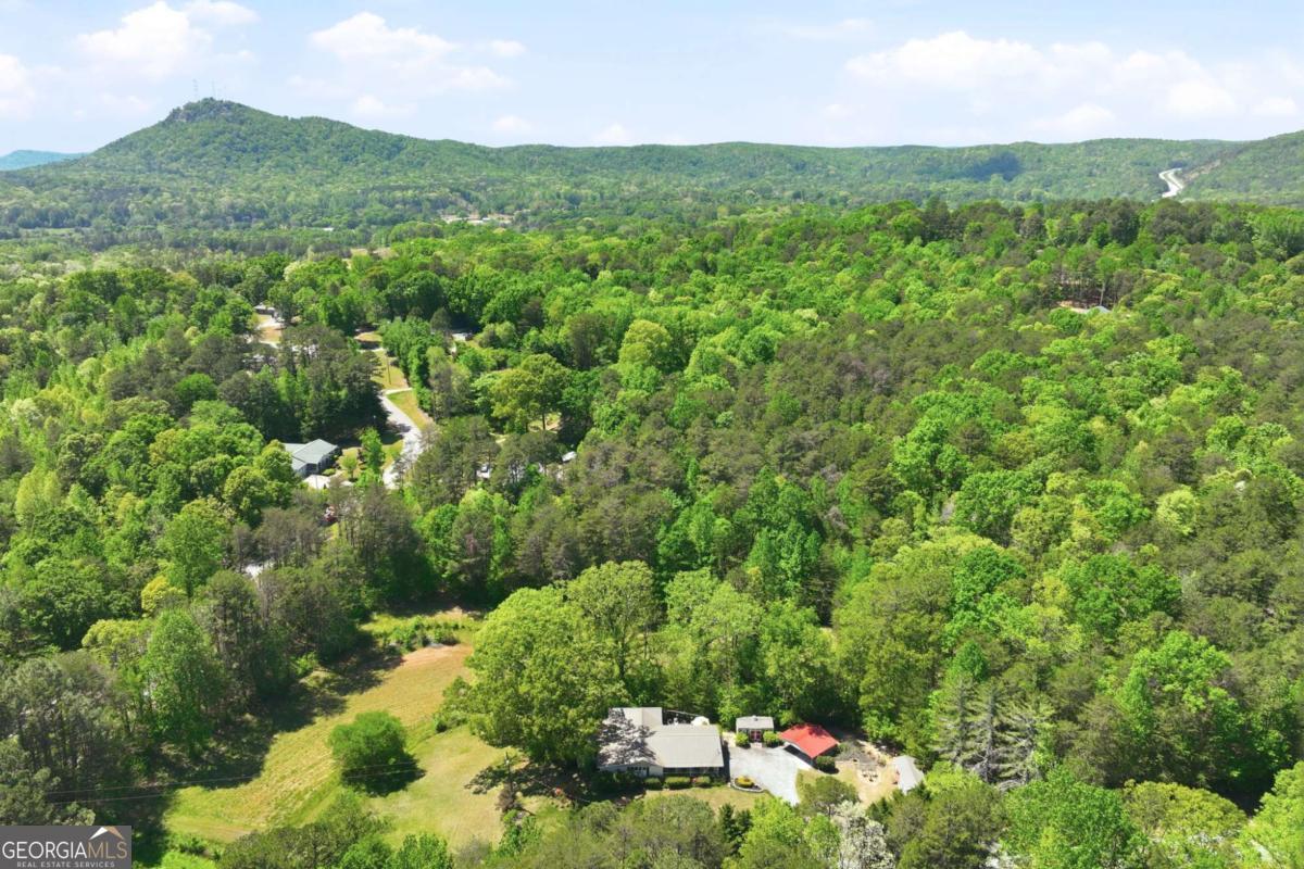 238 Currahee Circle Toccoa GA 30577