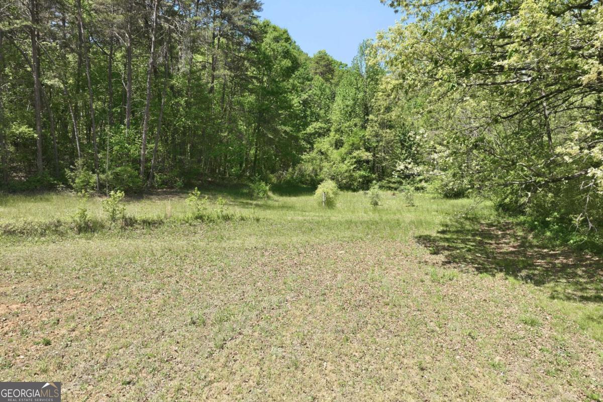 238 Currahee Circle Toccoa GA 30577