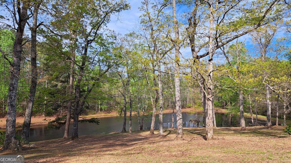 112 Brannon Road Buchanan GA 30113