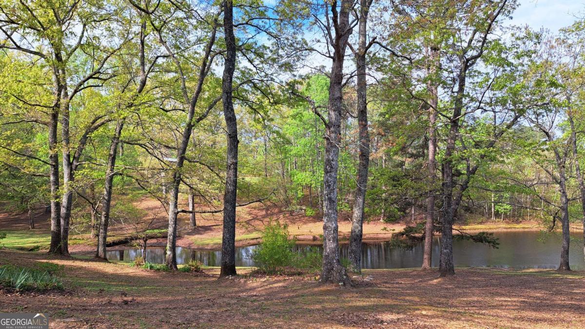 112 Brannon Road Buchanan GA 30113