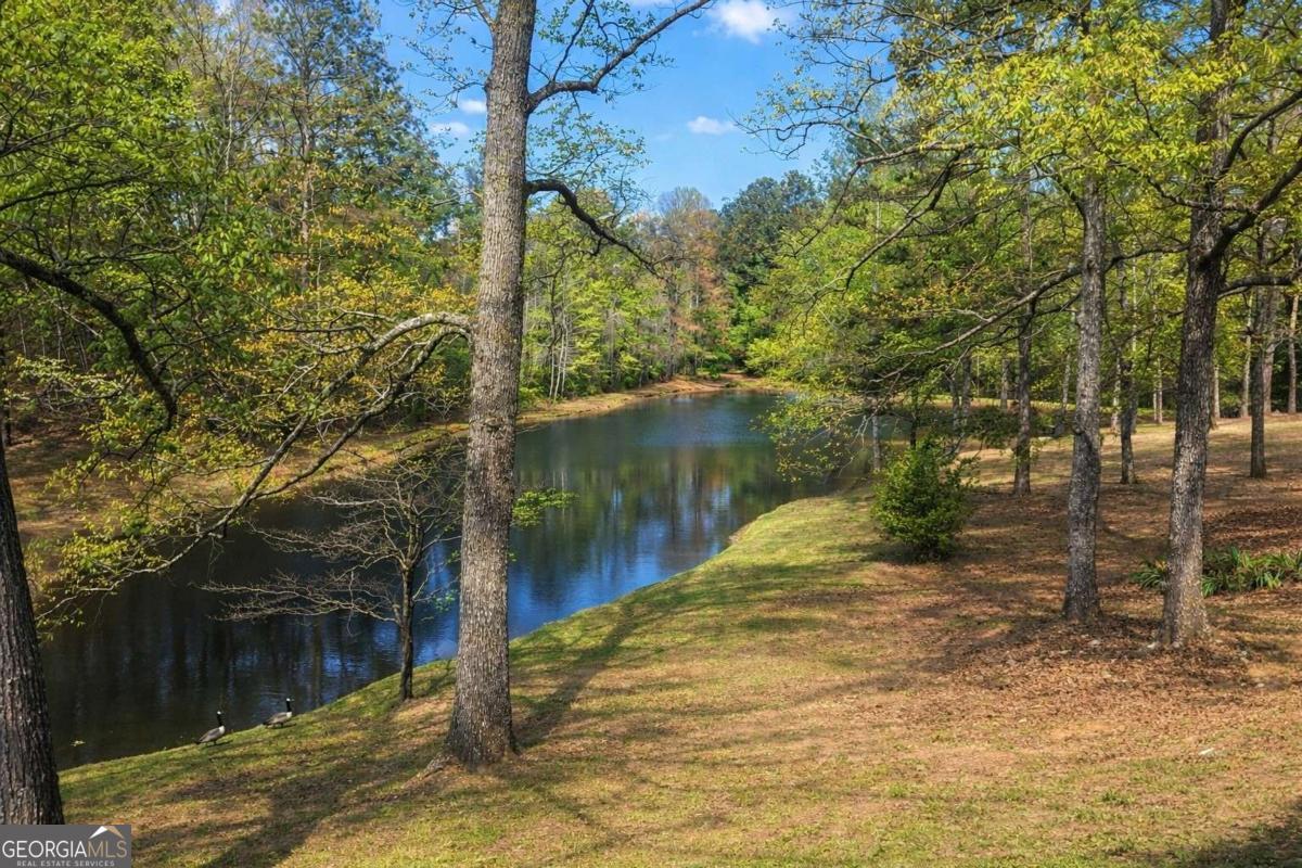 112 Brannon Road Buchanan GA 30113