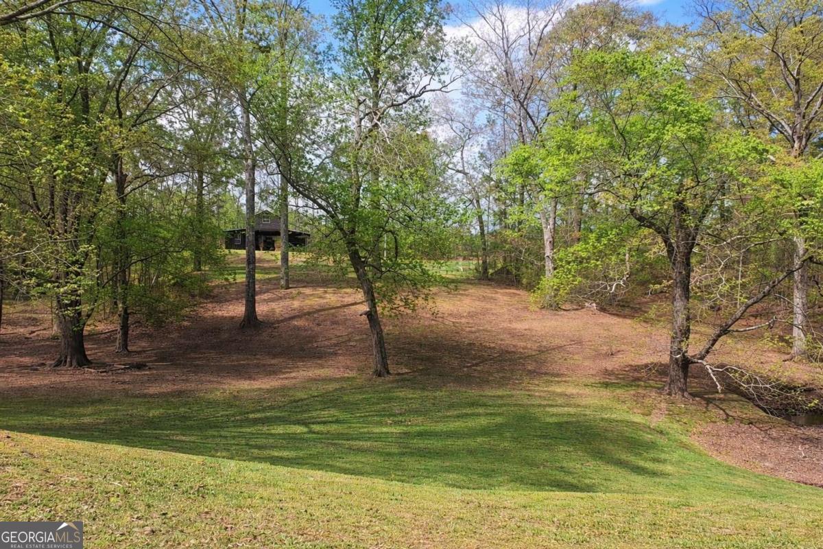 112 Brannon Road Buchanan GA 30113