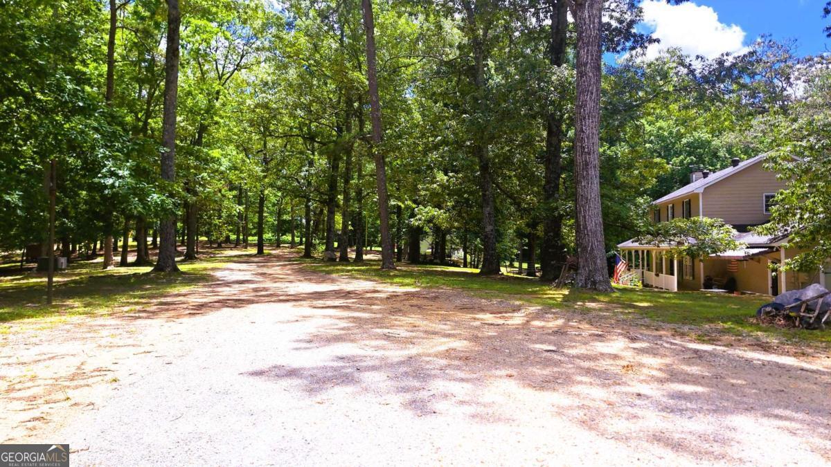 112 Brannon Road Buchanan GA 30113