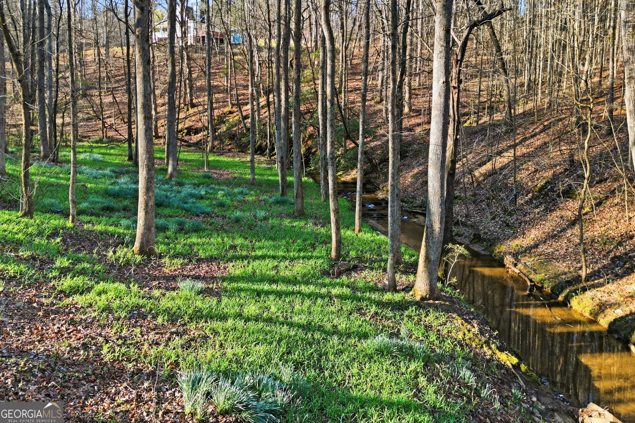 149 Hidden Creek Road Jasper GA 30143