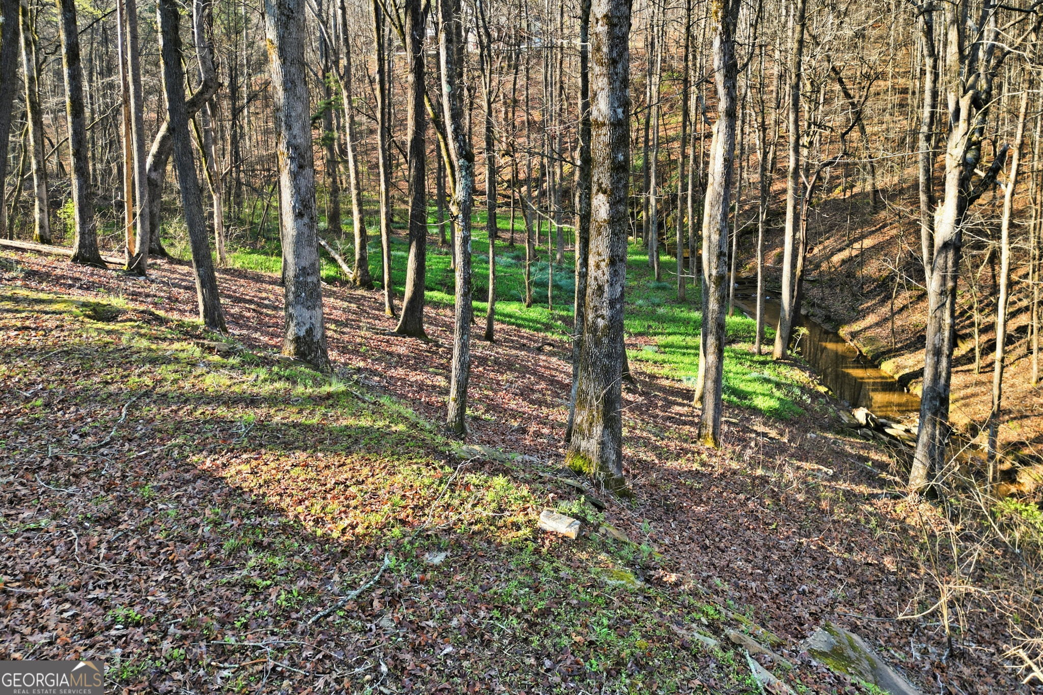 149 Hidden Creek Road Jasper GA 30143