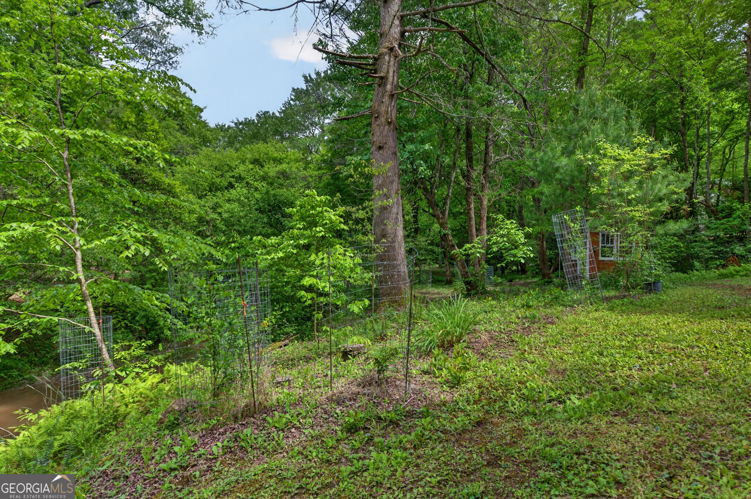 481 Johns Ridge Road Blue Ridge GA 30513