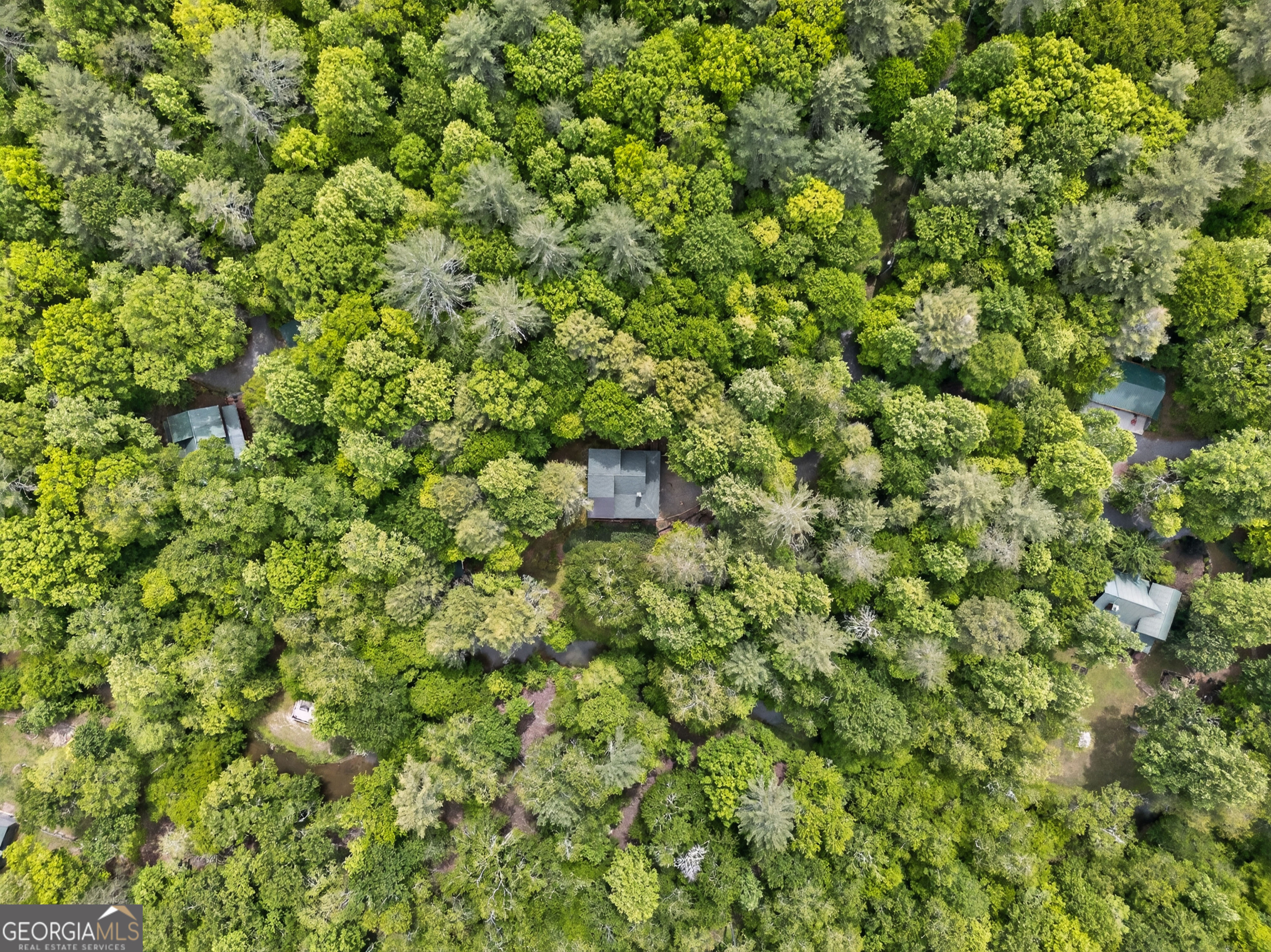 481 Johns Ridge Road Blue Ridge GA 30513