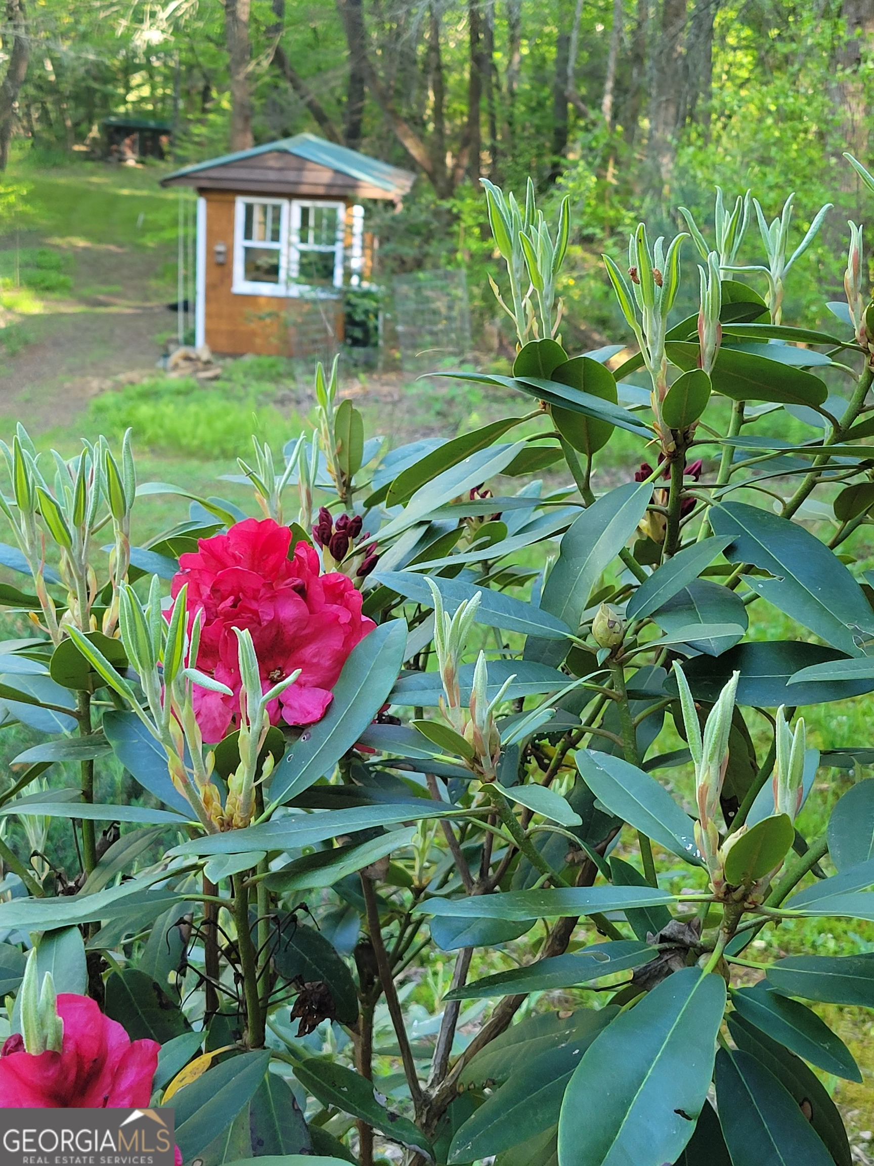 481 Johns Ridge Road Blue Ridge GA 30513