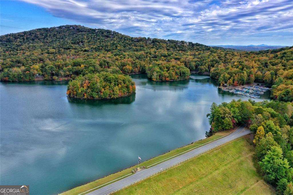 135 Wolfscratch Drive Big Canoe GA 30143