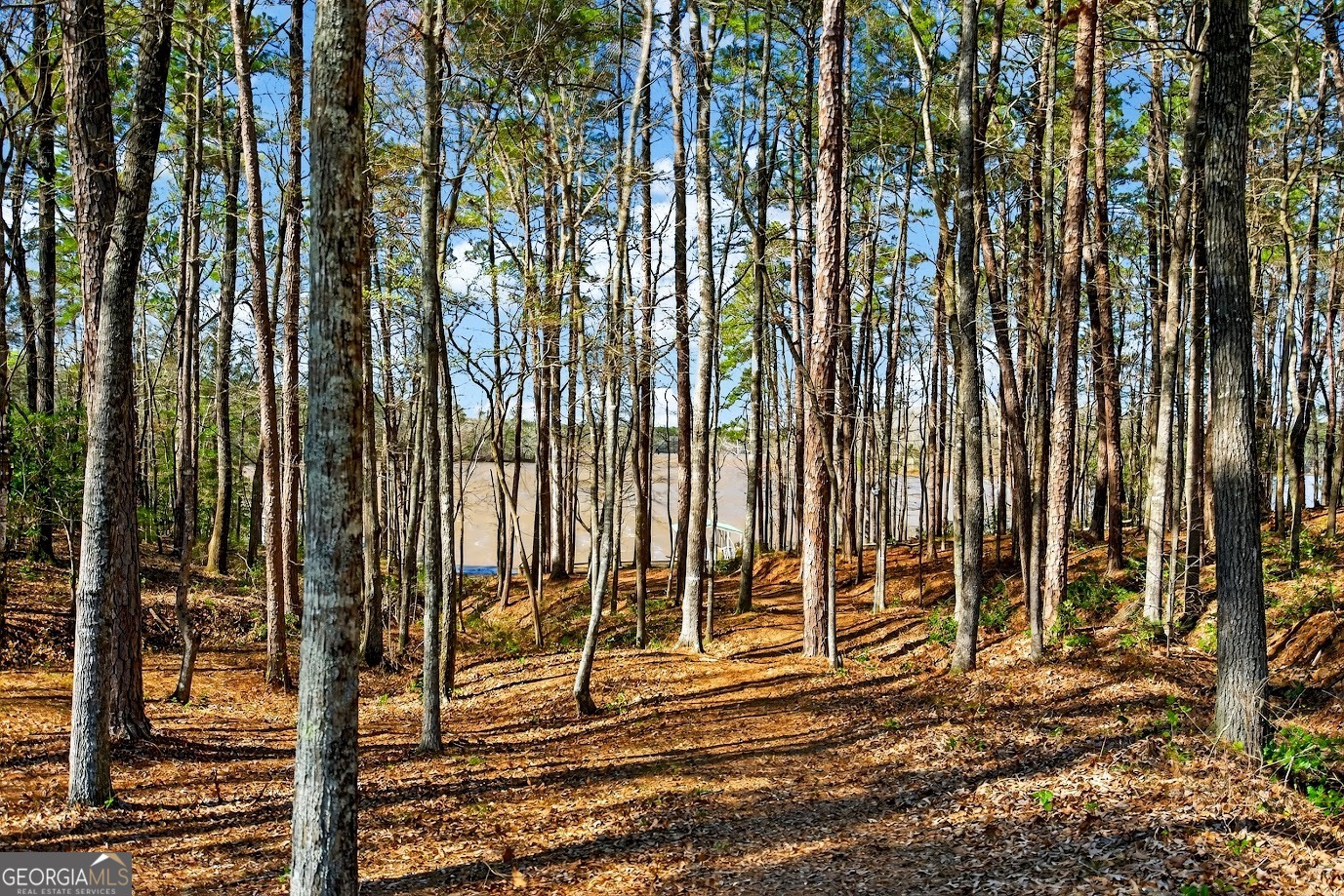 130 Sunny Point Circle Lagrange GA 30240