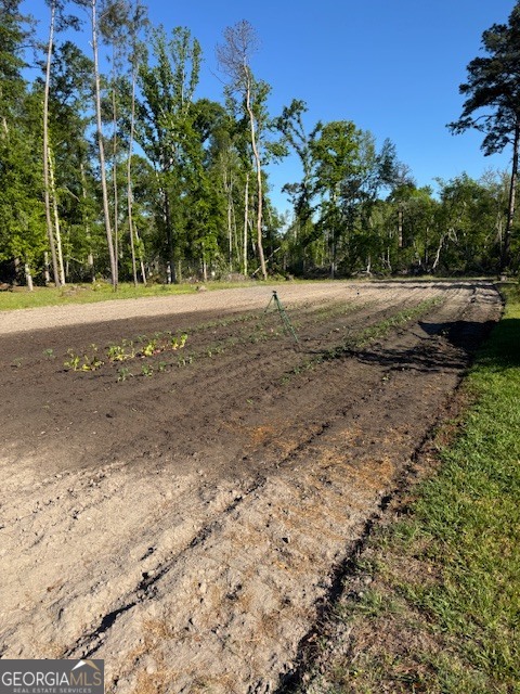 176 Niederriter Lane Vidalia GA 30474