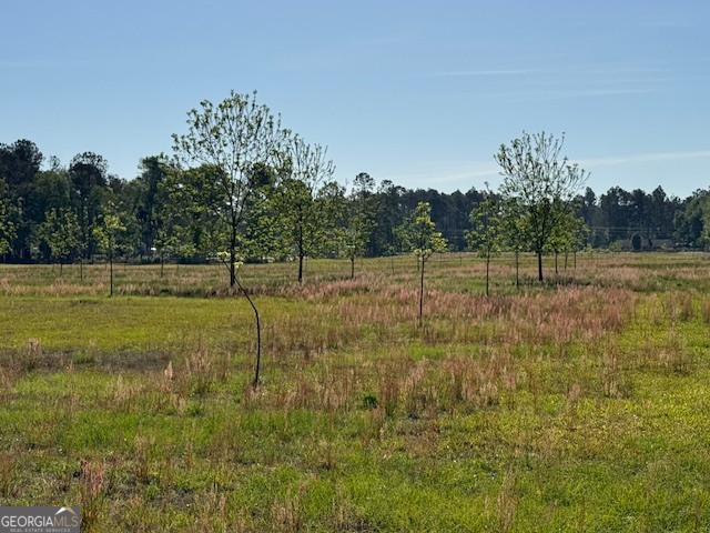 176 Niederriter Lane Vidalia GA 30474