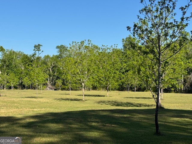 176 Niederriter Lane Vidalia GA 30474