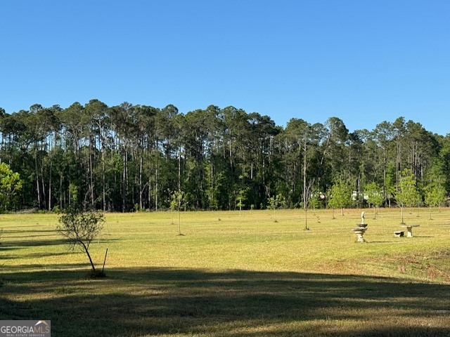 176 Niederriter Lane Vidalia GA 30474