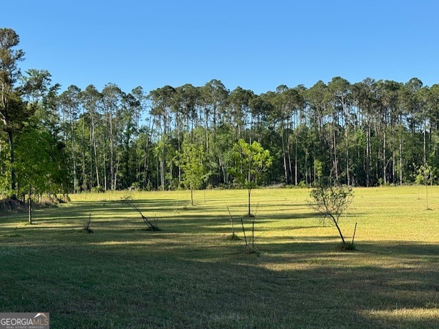 176 Niederriter Lane Vidalia GA 30474