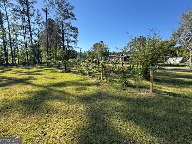 176 Niederriter Lane Vidalia GA 30474