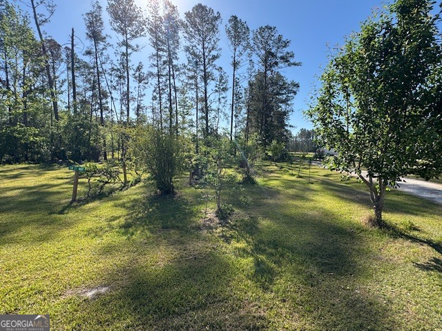 176 Niederriter Lane Vidalia GA 30474