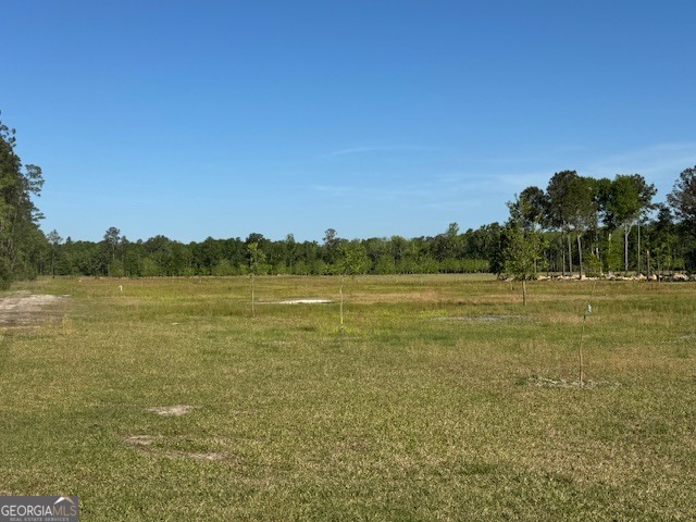 176 Niederriter Lane Vidalia GA 30474