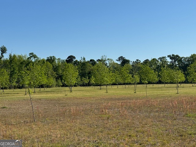 176 Niederriter Lane Vidalia GA 30474