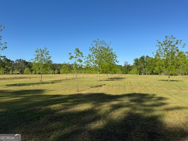 176 Niederriter Lane Vidalia GA 30474