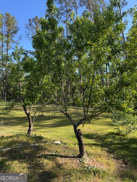 176 Niederriter Lane Vidalia GA 30474