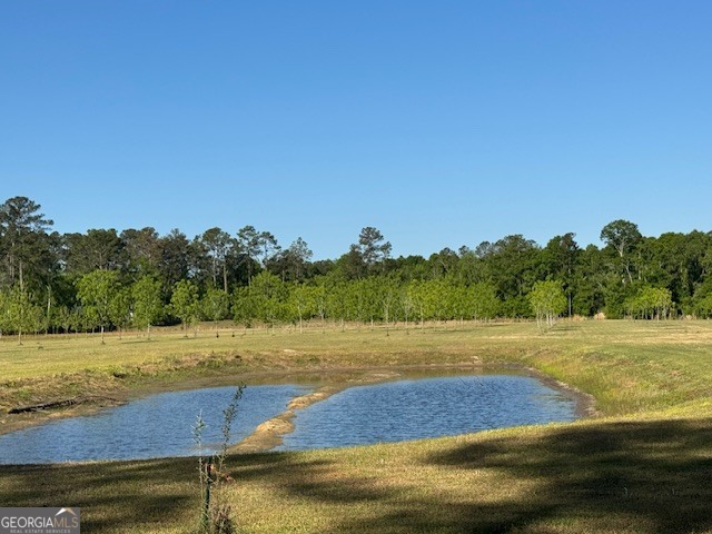 176 Niederriter Lane Vidalia GA 30474
