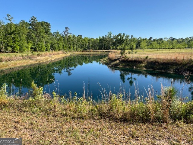 176 Niederriter Lane Vidalia GA 30474
