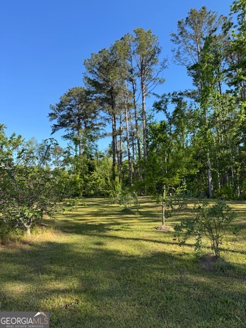176 Niederriter Lane Vidalia GA 30474