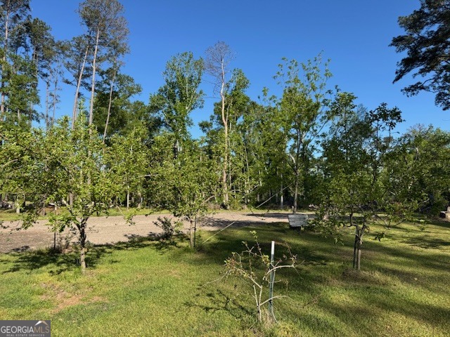 176 Niederriter Lane Vidalia GA 30474