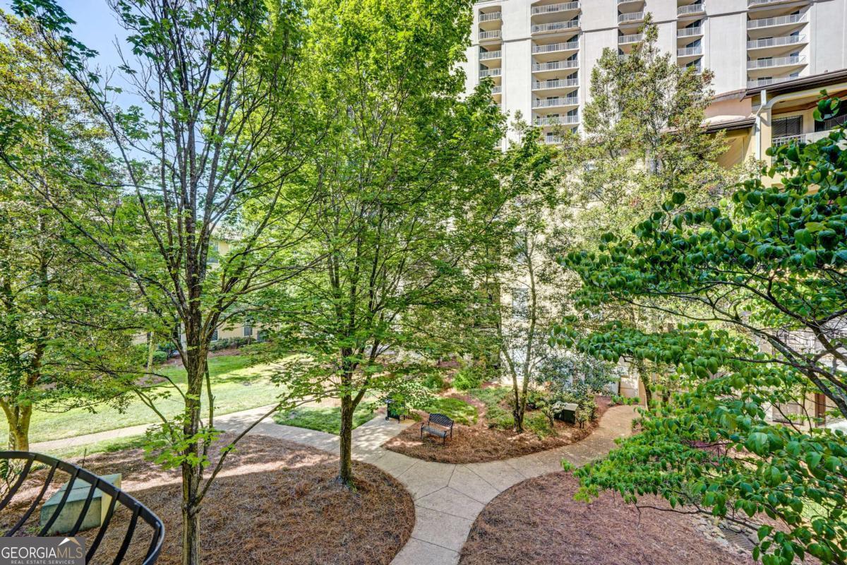 3777 Peachtree Road NE Brookhaven GA 30319