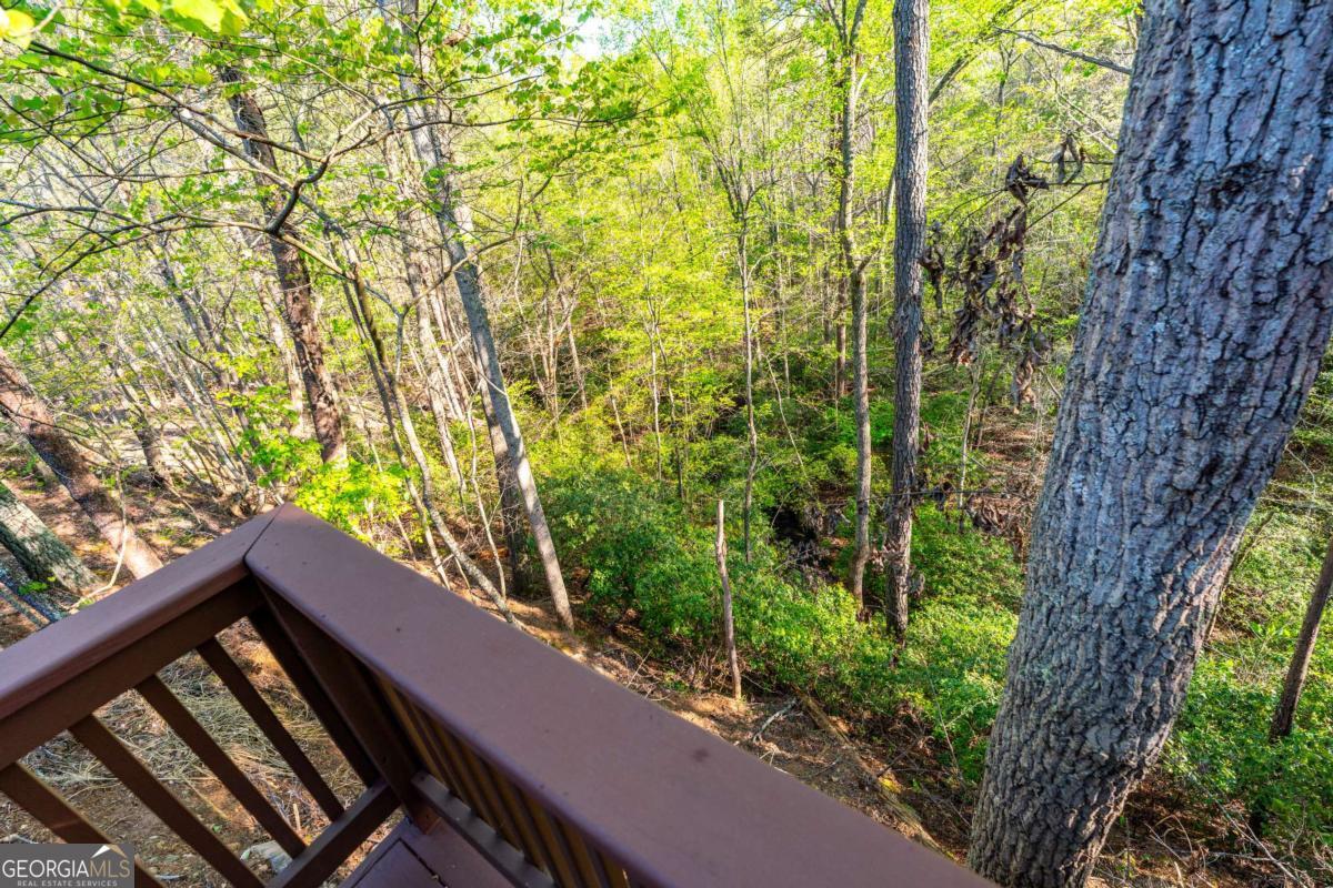 204 Lakeside Drive Waleska GA 30183