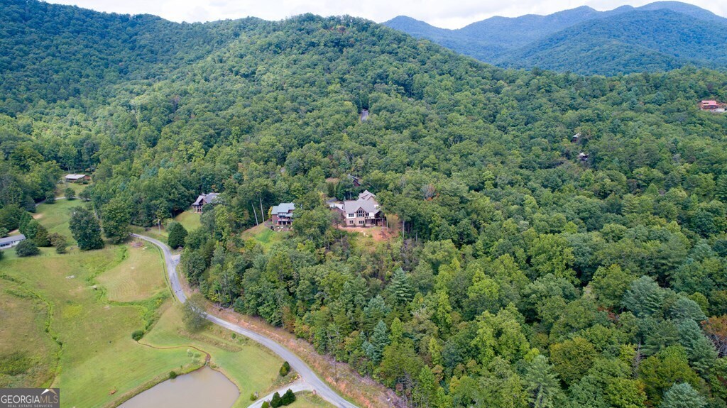 205 Hightower Ridge Drive Hiawassee GA 30546