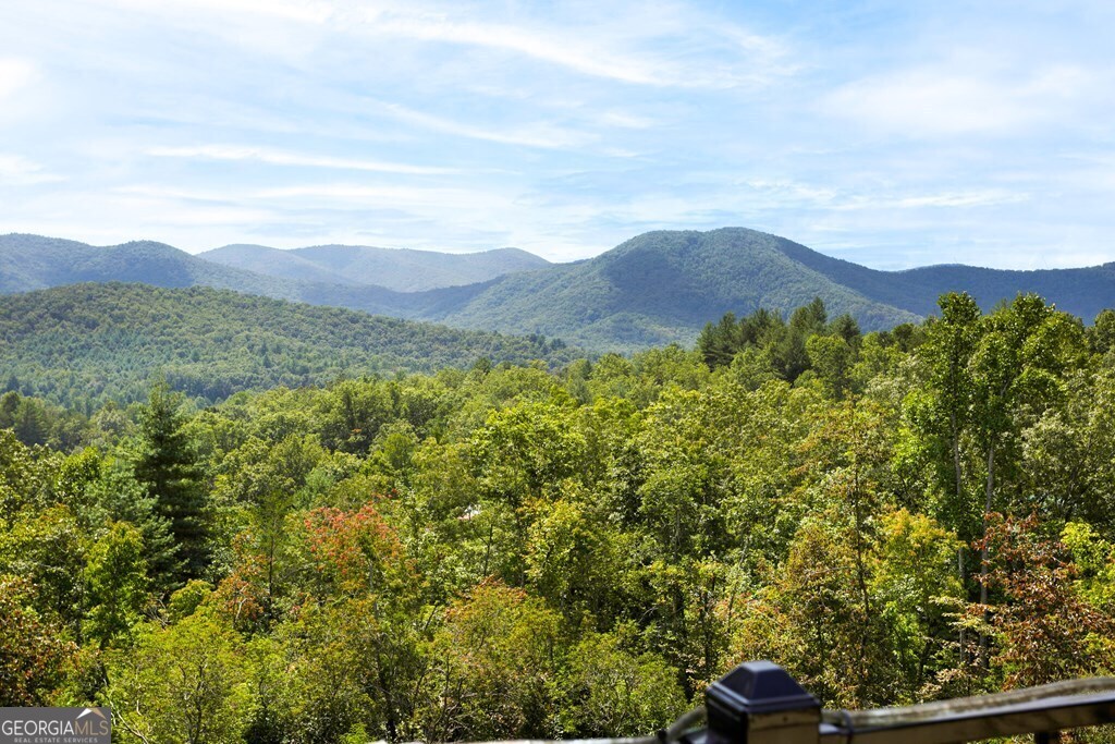 205 Hightower Ridge Drive Hiawassee GA 30546